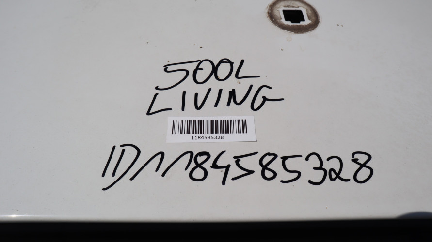 FIAT 500L LIVING DACH PANORMA