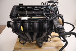 VOLVO V50 S40 1.8 16V SILNIK B4184S8