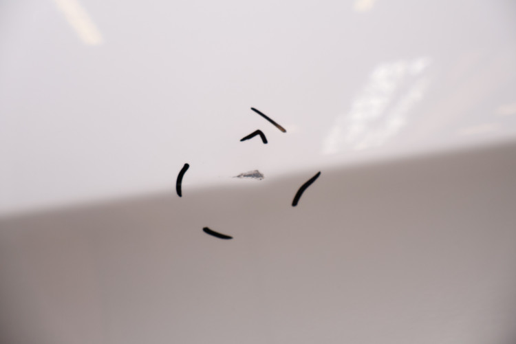 JEEP CHEROKEE KL DRZWI PRAWE TYŁ PW7