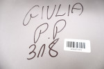 ALFA ROMEO GIULIA BŁOTNIK PRAWY PRZÓD 318