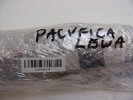 CHRYSLER PACIFICA 16- KURTYNA AIRBAG LEWY 68224527AF